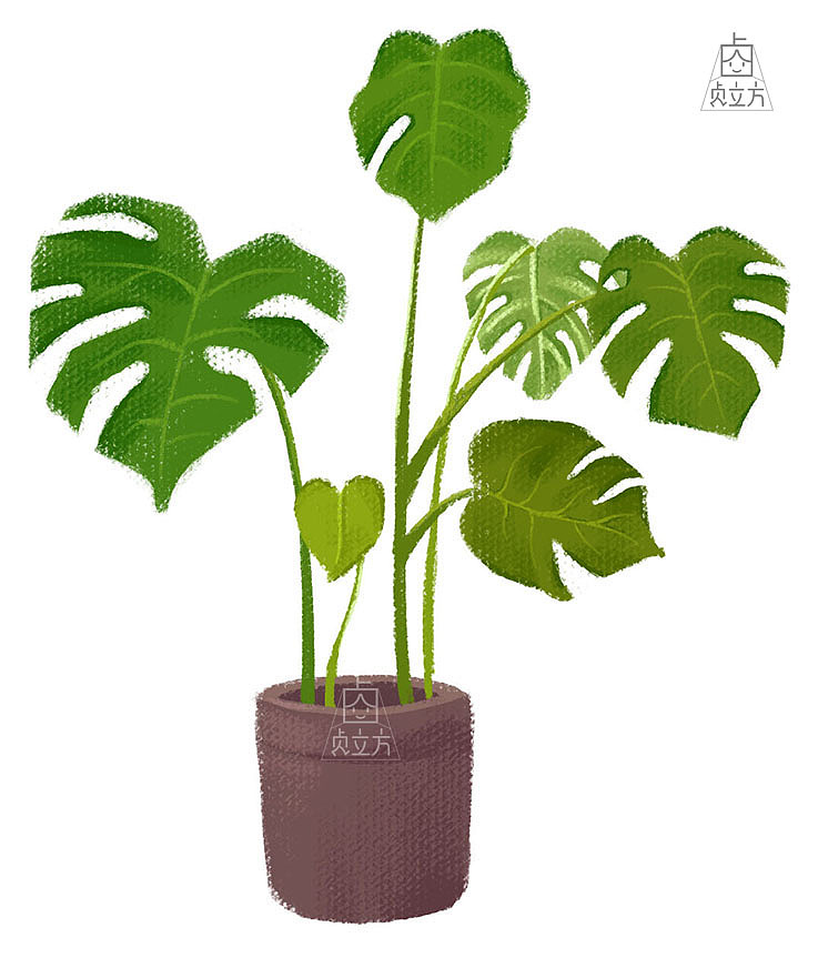 植物插画练习（图ZMjA0NDM2ODcy） - 创作习作 - 站酷设计师贞立方原创素材 - 站酷ZCOOL