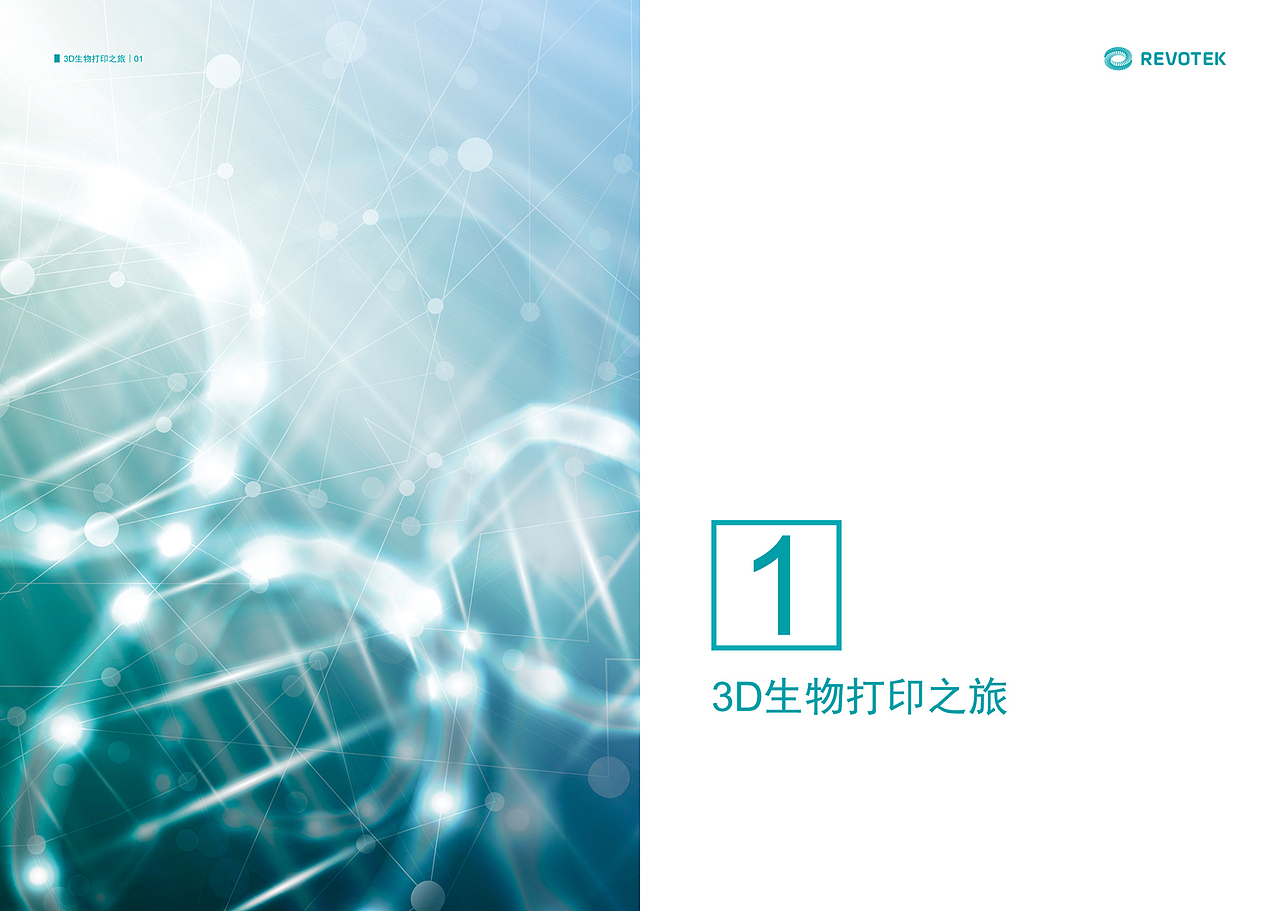 蓝光英诺画册排版