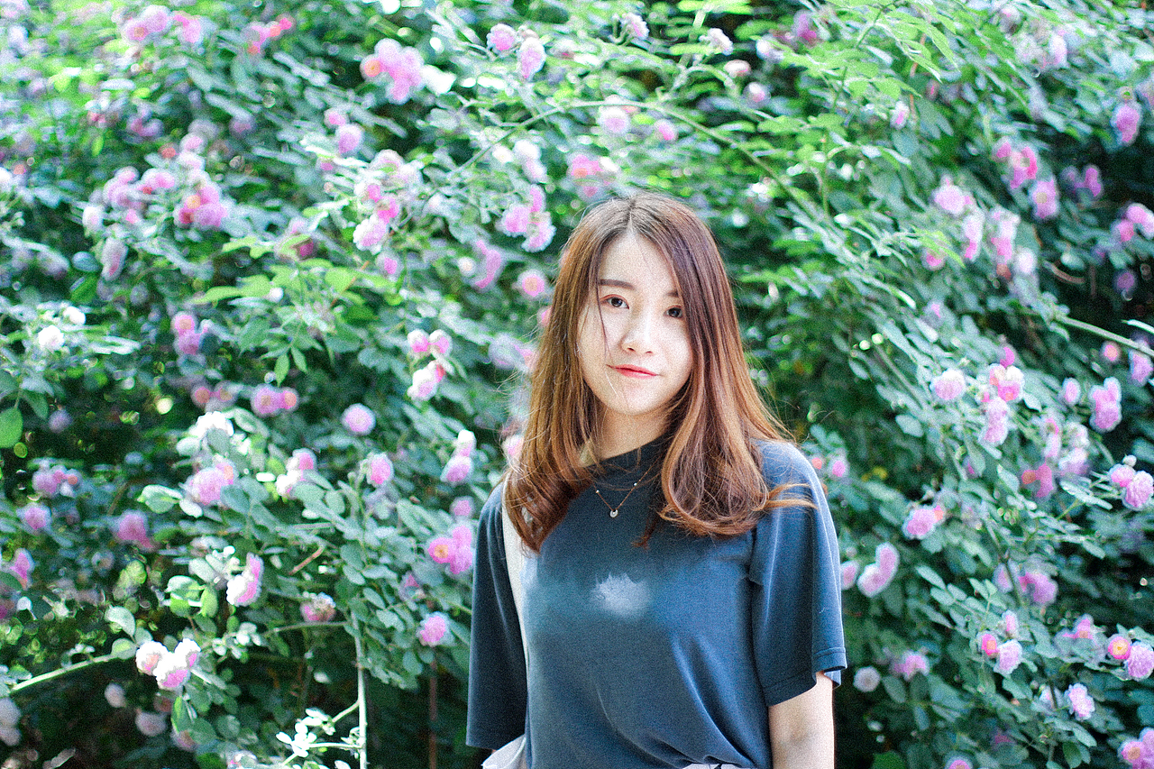 2018年5月份北京的蔷薇花和少女花花。（图ZMTE1MzE5OTAw） - 人像摄影 - 站酷设计师張鹿原创素材 - 站酷ZCOOL