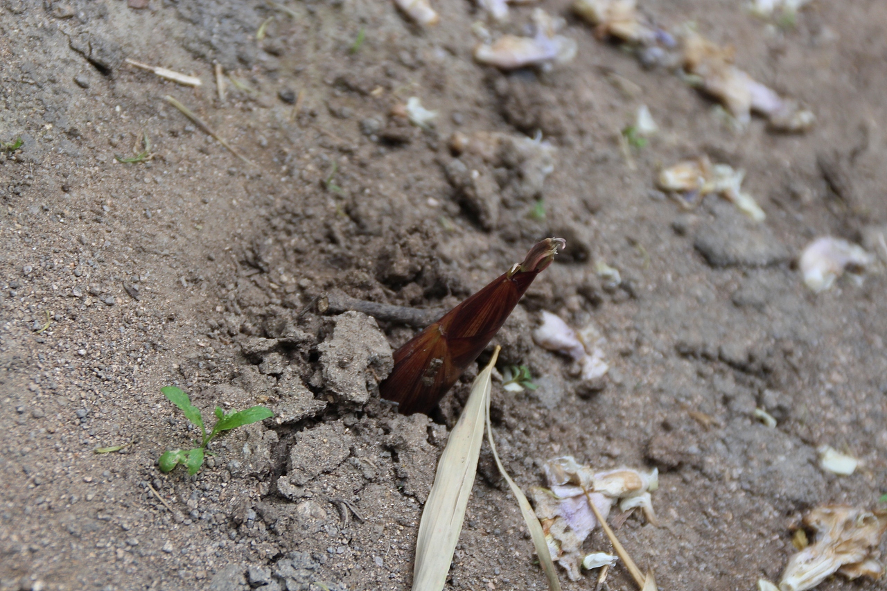 山水之美-从大自然中发现快乐
