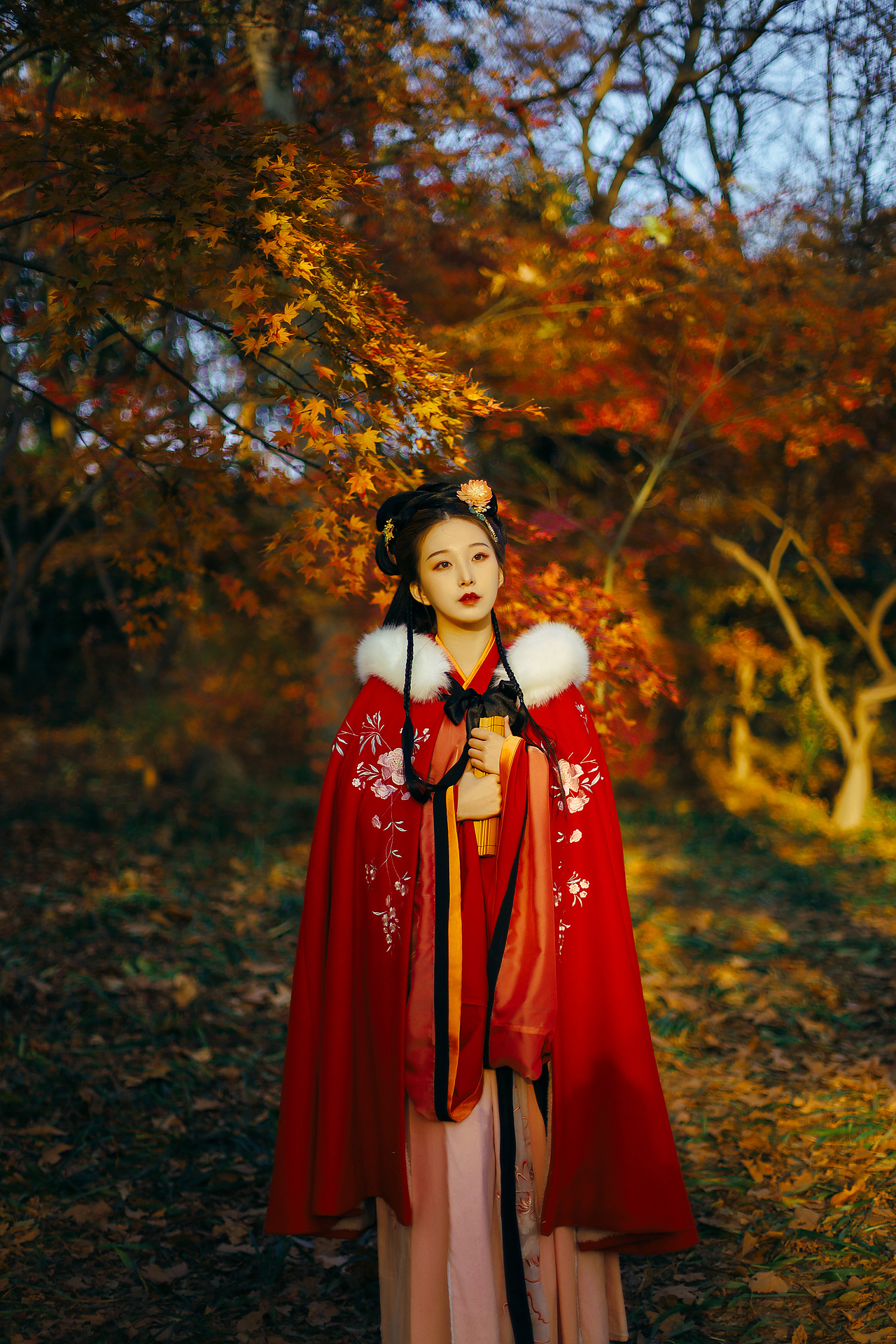 数树深红出浅黄