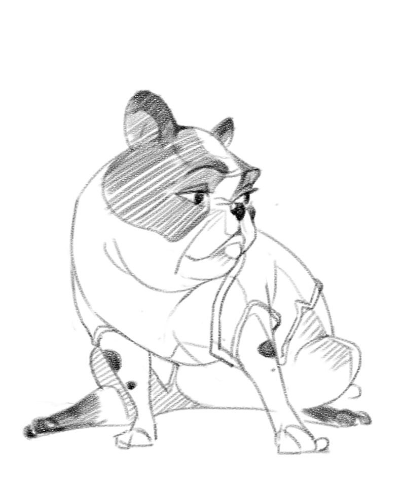 每日一画动物合集