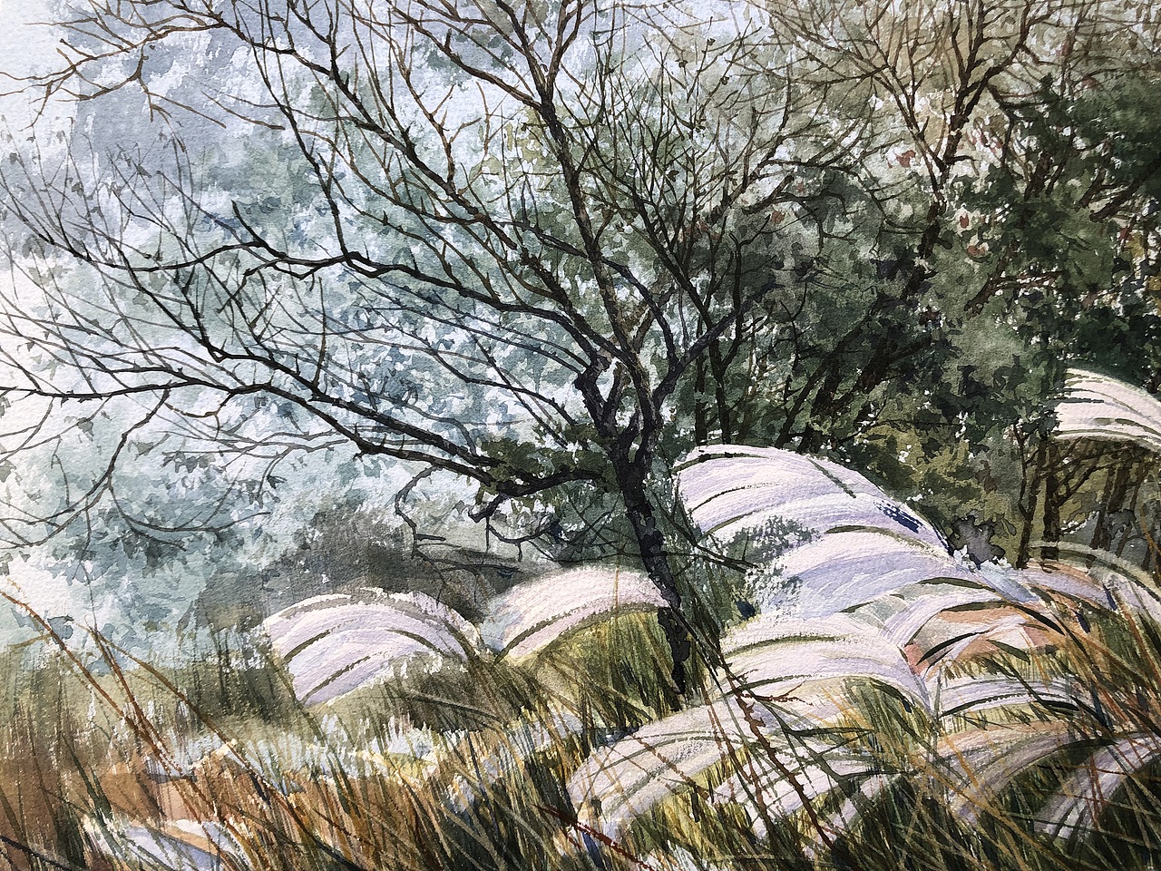 水彩风景——冬日的风声(又是无私奉献的高清步骤)