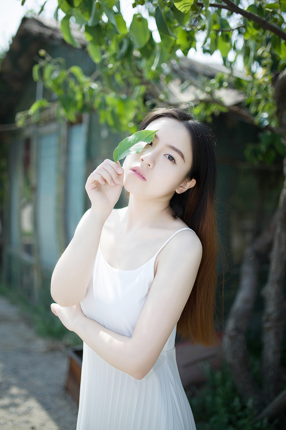 夏の日时を过ごし