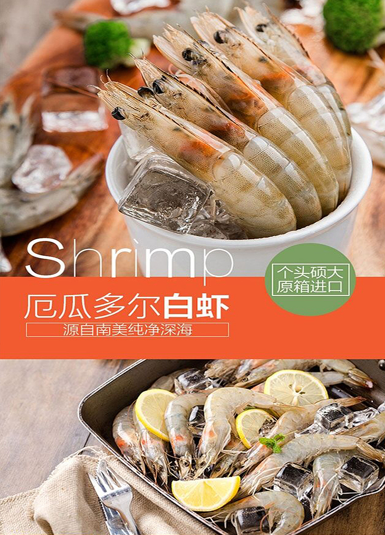 厄瓜多尔白虾（图ZMTIwMTA4NTY4） - 海报 - 站酷设计师错觉VC原创素材 - 站酷ZCOOL
