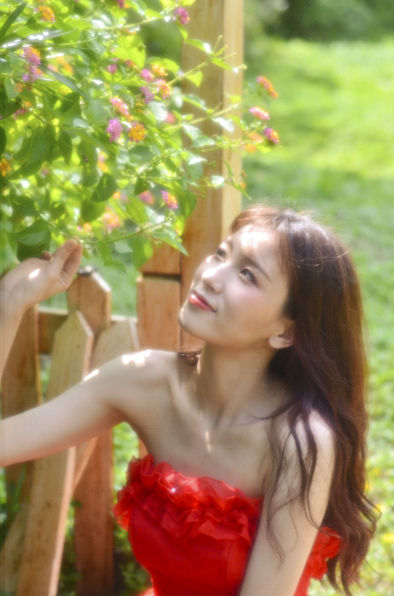 与你陷落于盛夏光影里