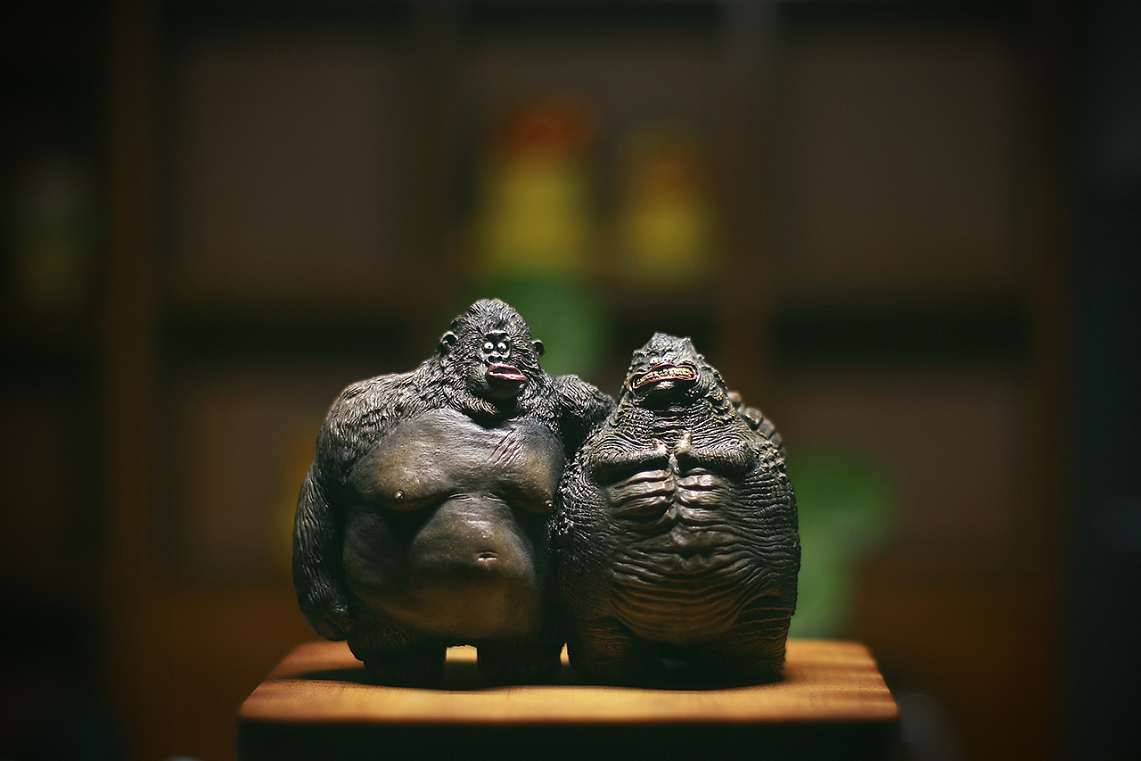 《金刚&哥斯拉》