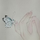 锦绣林香的头像