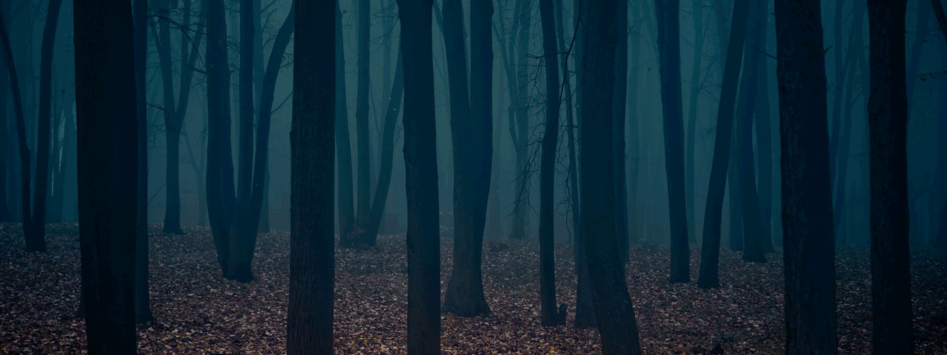 设计师款皮毛一体风衣海报制作内容及展示（图ZNDA5OTUxMjA=） - 运营设计 - 站酷设计师莲小姐原创素材 - 站酷ZCOOL