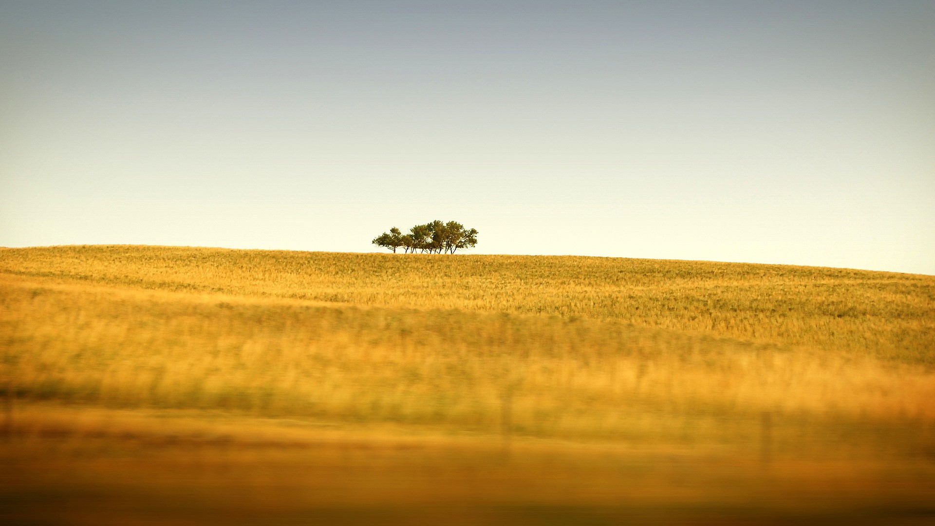 設(shè)計(jì)師陳光凱的個(gè)人主頁(yè)（封面預(yù)覽） - 主頁(yè)封面設(shè)置 - 站酷設(shè)計(jì)師設(shè)計(jì)師陳光凱原創(chuàng)素材 - 站酷ZCOOL