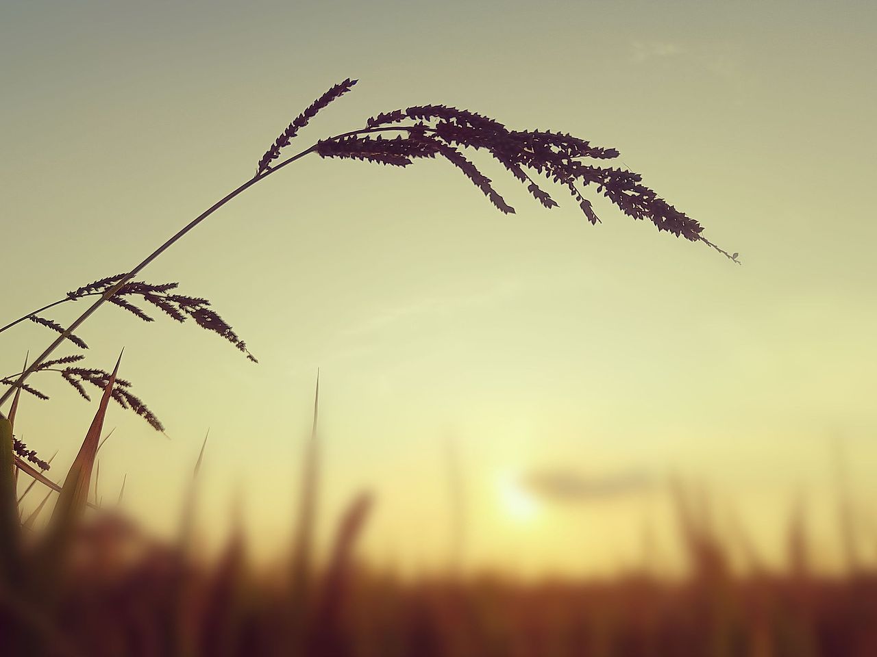 随拍（图ZMzMxNjEwMzc2） - 风光摄影 - 站酷设计师平淡生活sh原创素材 - 站酷ZCOOL