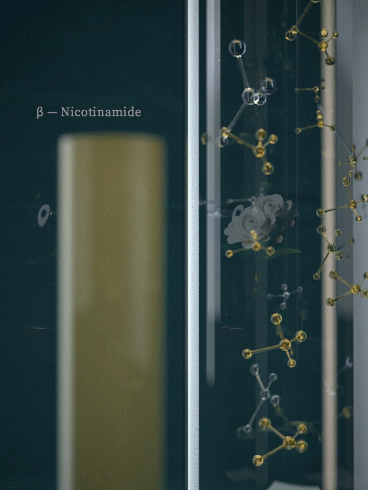 【安慕芙护手霜】（图ZMjM3NjE1NTk2） - 动画/影视 - 站酷设计师燃烧er原创素材 - 站酷ZCOOL