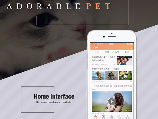 宠物资讯APP