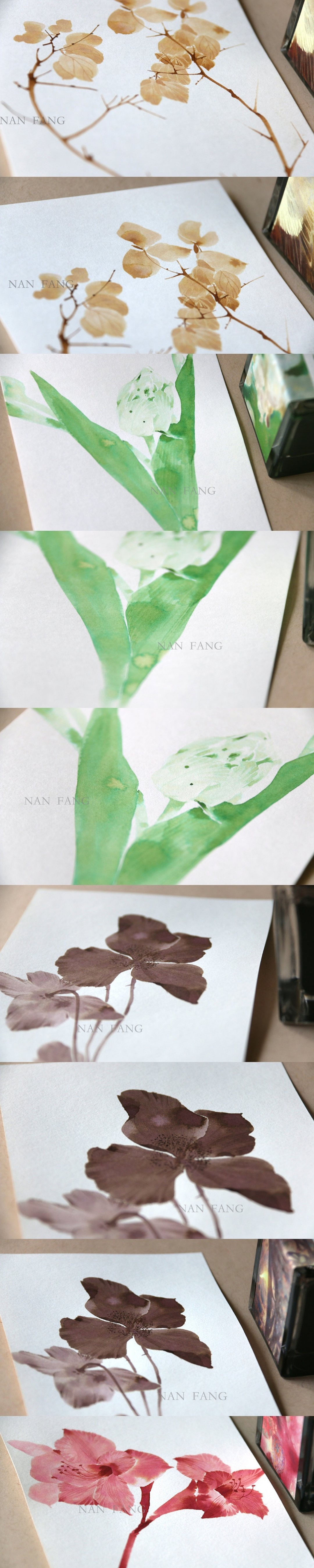 钢笔墨水手绘花卉插画绘画教程头像壁纸水彩教程古风（图ZMTcwMjU4OTky） - 创作习作 - 站酷设计师熊猫胖哒原创素材 - 站酷ZCOOL