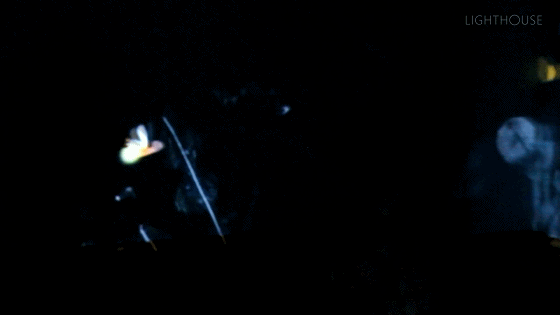 沉浸式空间—春夏秋冬（图ZMjAyNjk3ODcy） - 展陈设计 - 站酷设计师LightHouseLAB原创素材 - 站酷ZCOOL