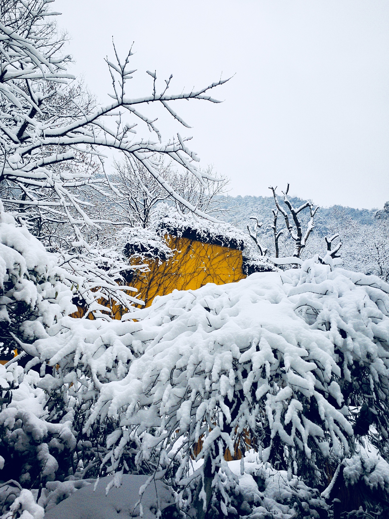 有一种雪境叫杭州的雪