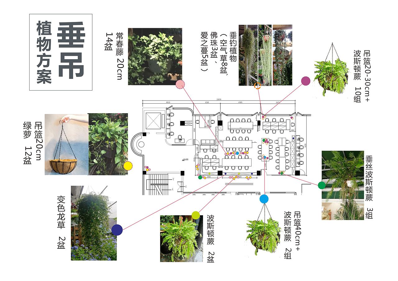 办公室室内绿化实验布置