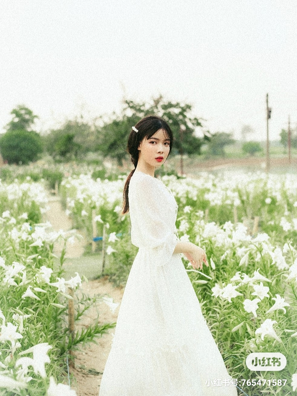 心若向阳（图ZMjQ4NjcwNjMy） - 修图/后期 - 站酷设计师小六1先生原创素材 - 站酷ZCOOL
