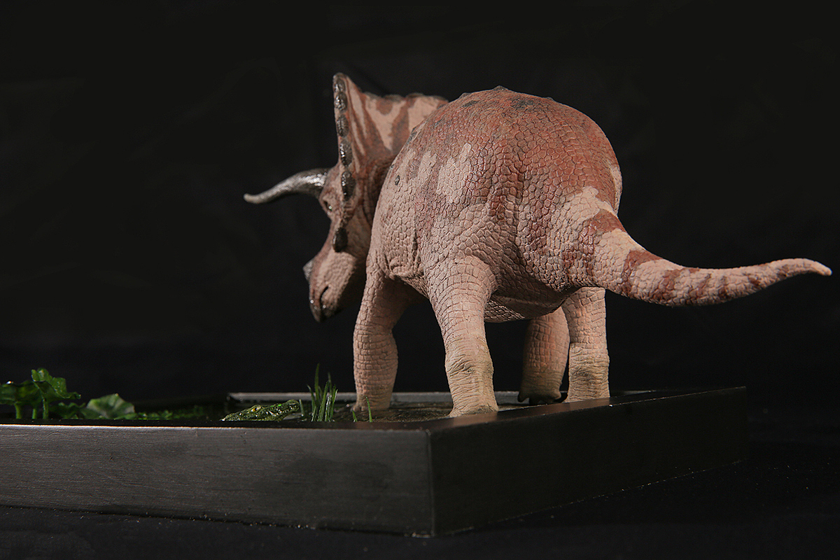 1/35三角龙龙模型