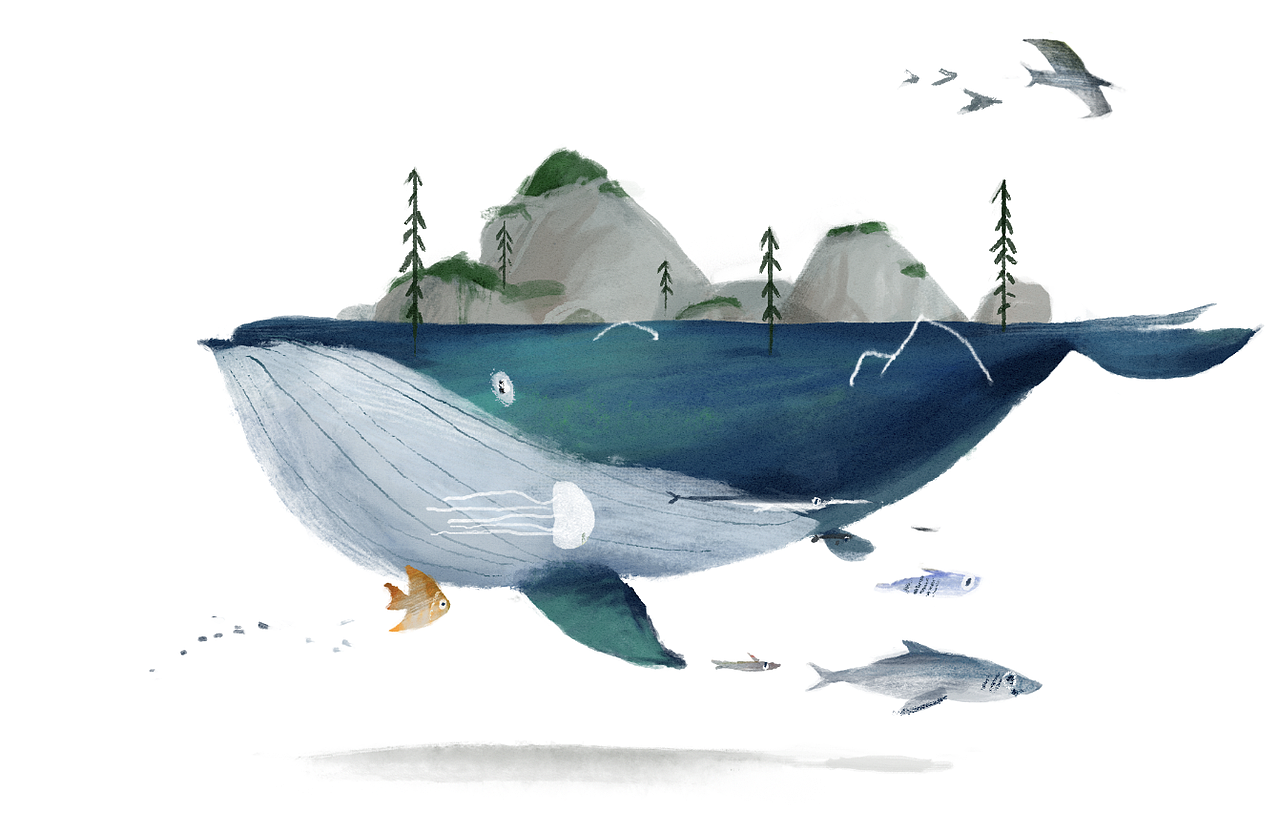 化作孤岛的鲸-插图