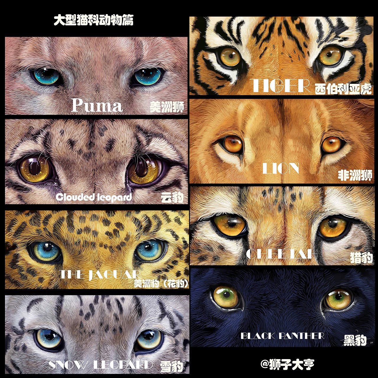 动物插画-大猫之眸系列-合辑（图ZMTQ4ODQ5NjU2） - 商业插画 - 站酷设计师狮子大亨原创素材 - 站酷ZCOOL