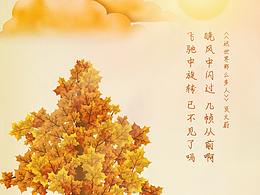 晚風(fēng)的楓葉-這世界那么多人