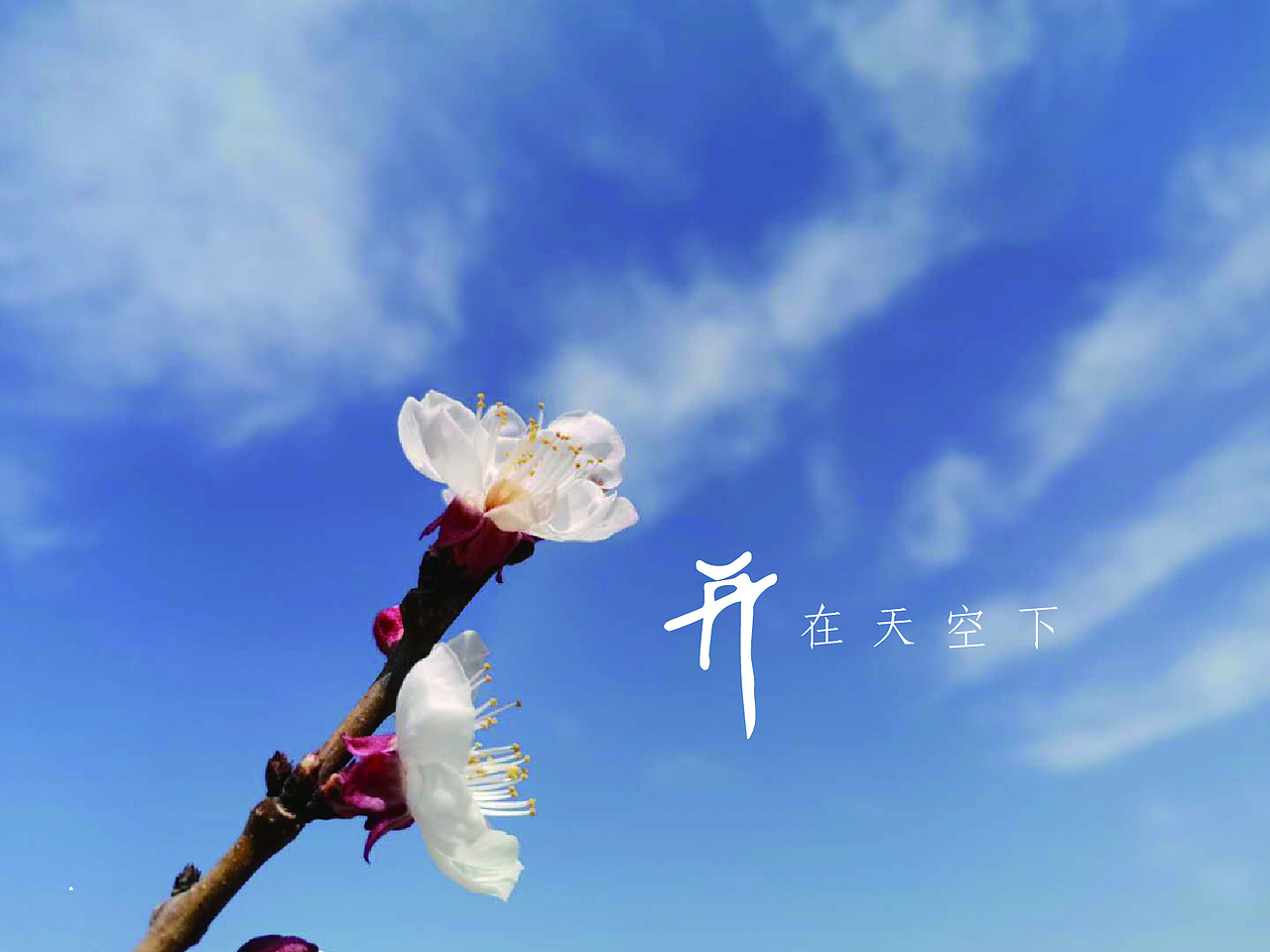 春暖花开（图ZMTUyMjc5OTMy） - 风光摄影 - 站酷设计师任晓锋018原创素材 - 站酷ZCOOL