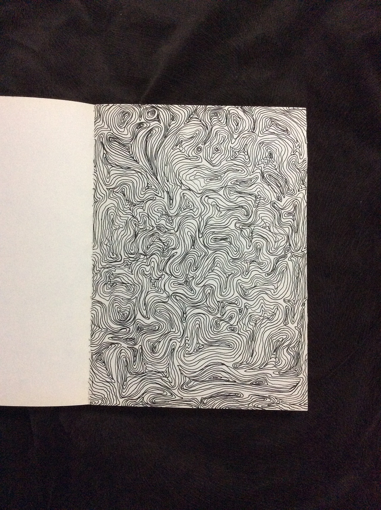 小本本你还好么