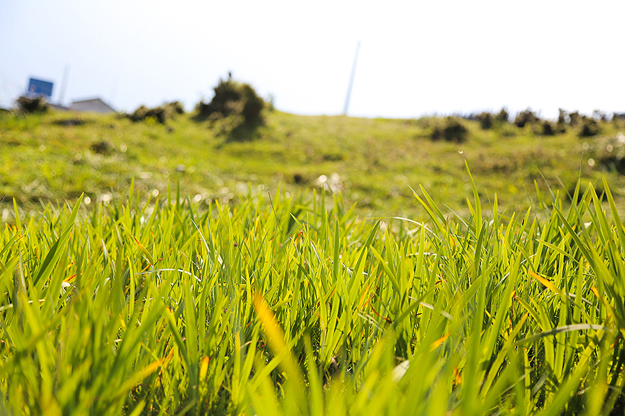 15年的照片（图ZMzk2MjQ2NzY=） - 风光摄影 - 站酷设计师forever_c原创素材 - 站酷ZCOOL