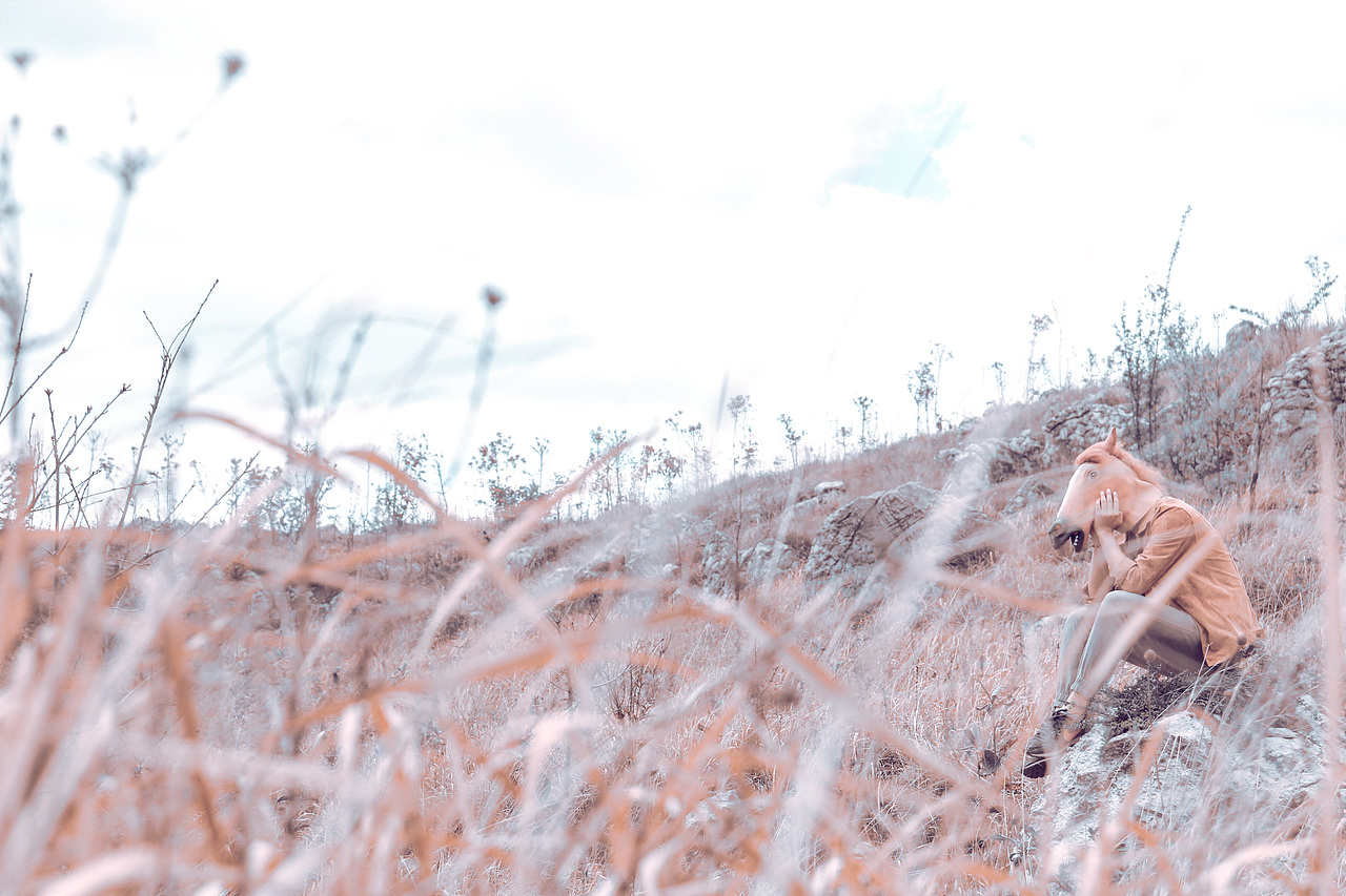 野里 | 姓张的马先生