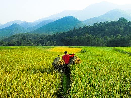 农民TV优选商城