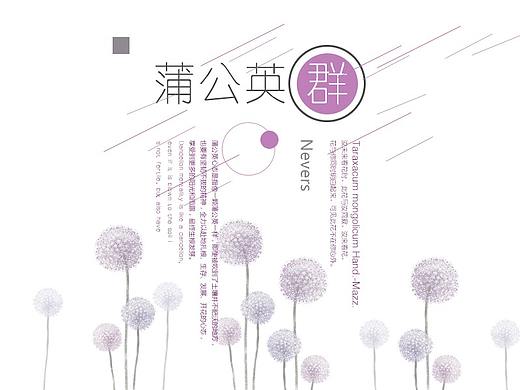 易拉宝