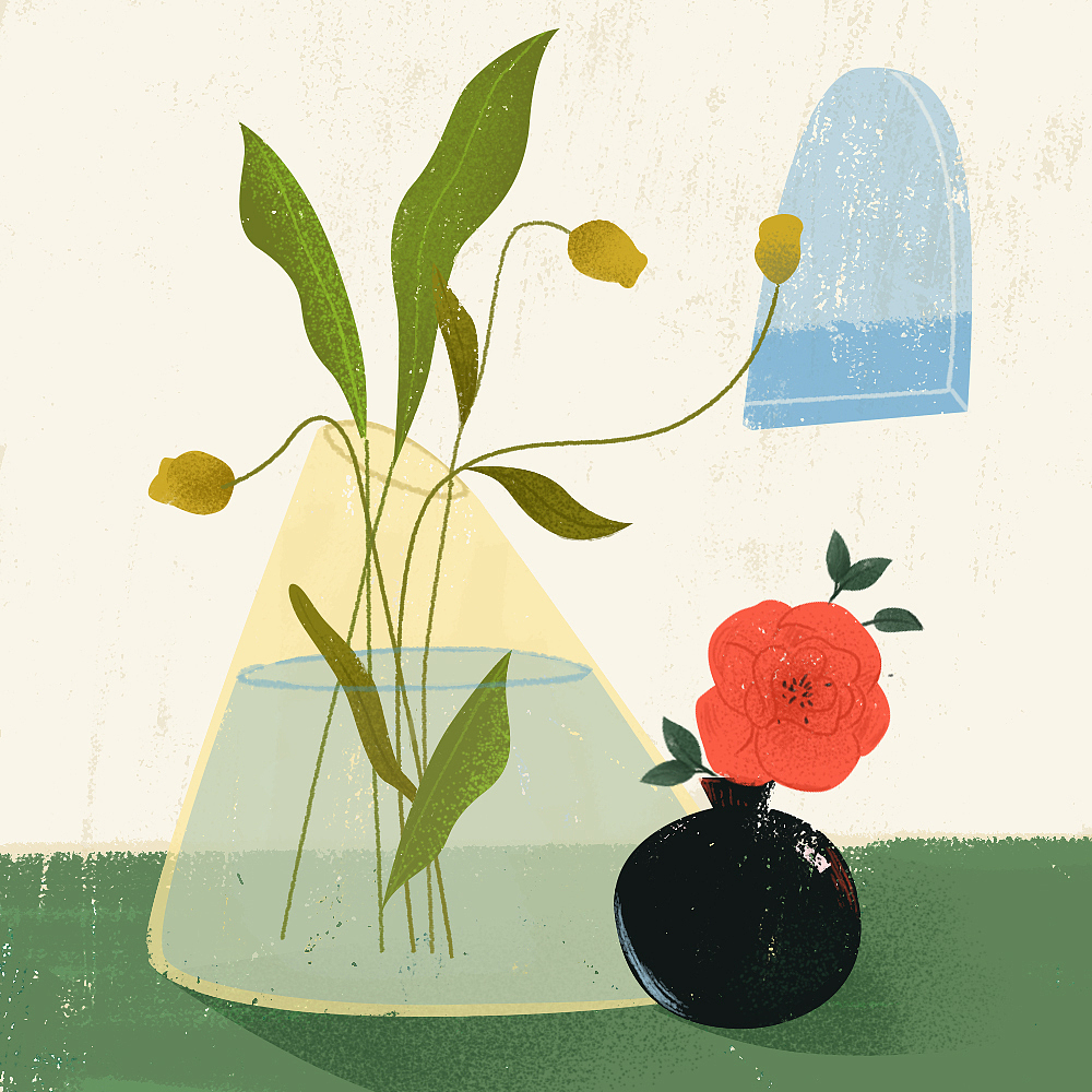 花花草草瓶瓶罐罐