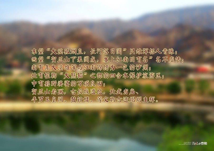 石嘴山工艺品包装