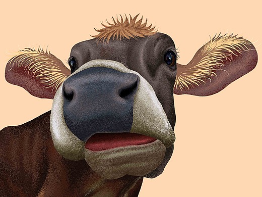 牛_创意设计作品图片素材-站酷zcool