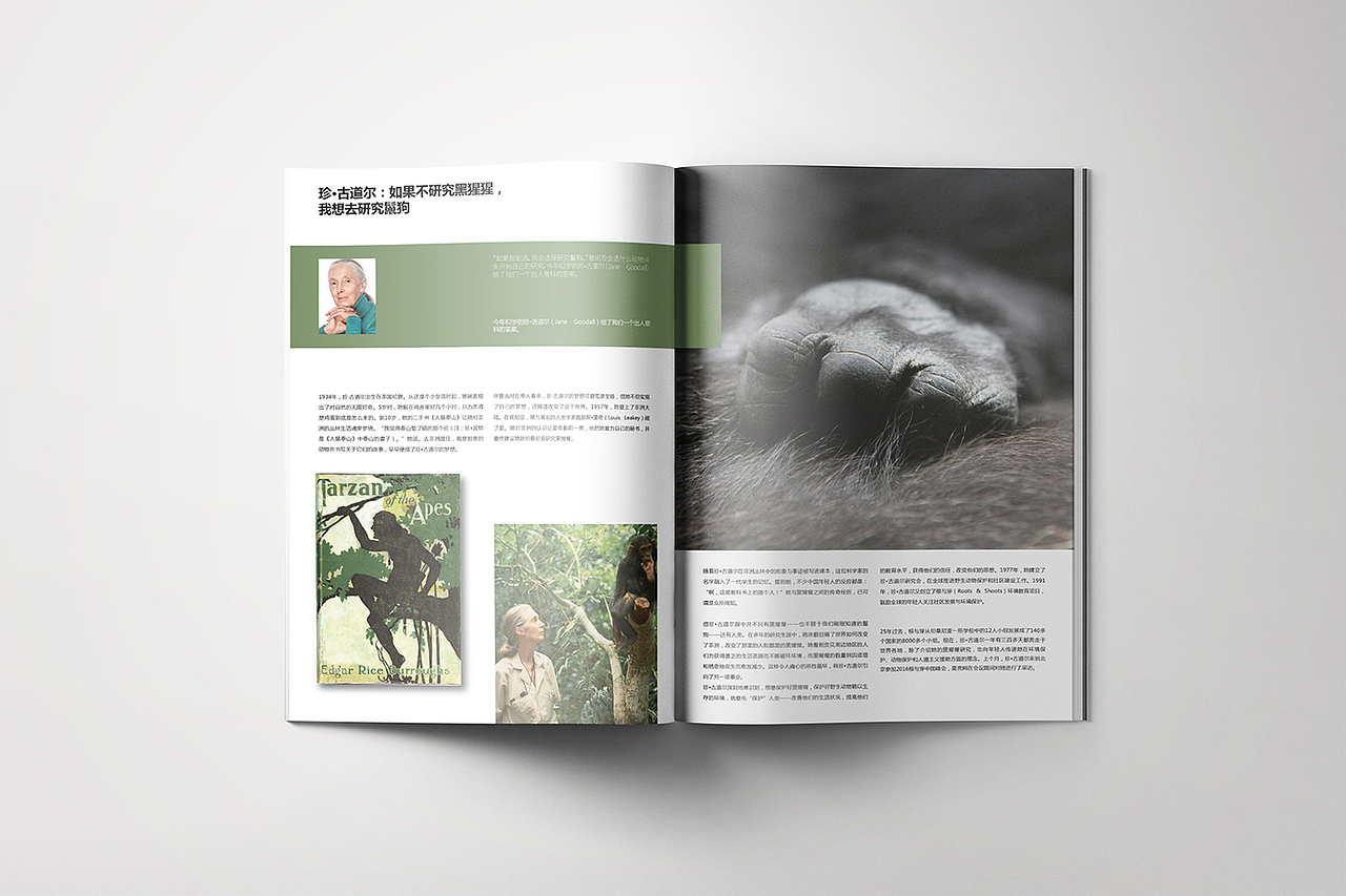 书籍杂志内页板式设计《珍•古道尔：如果不研究黑猩猩，我想去研究鬣狗》（图ZNjYxMjEzODQ=） - 书籍/画册 - 站酷设计师CGVTK原创素材 - 站酷ZCOOL
