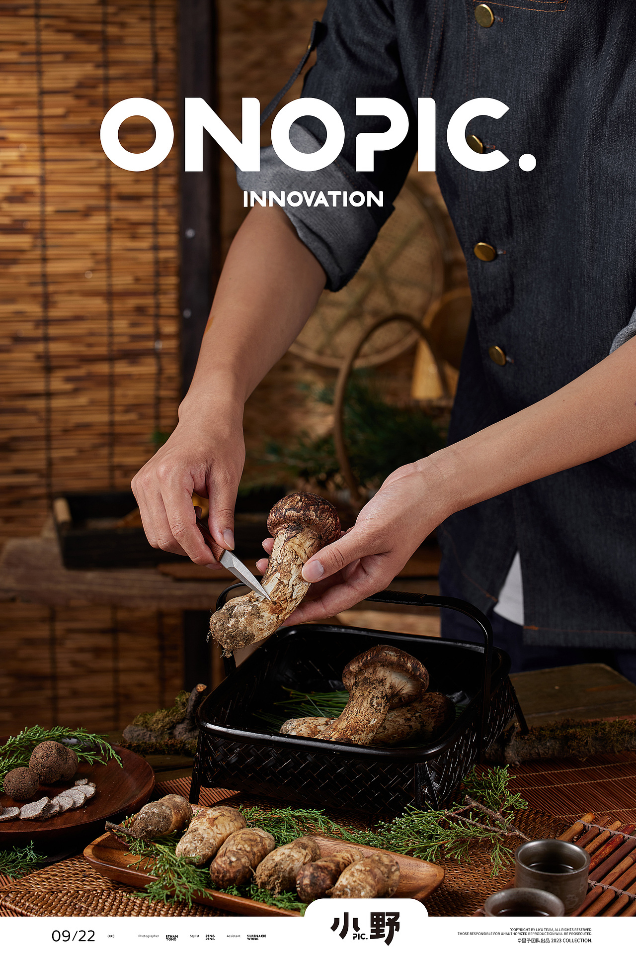 科默农业🍄菌子 松茸拍摄