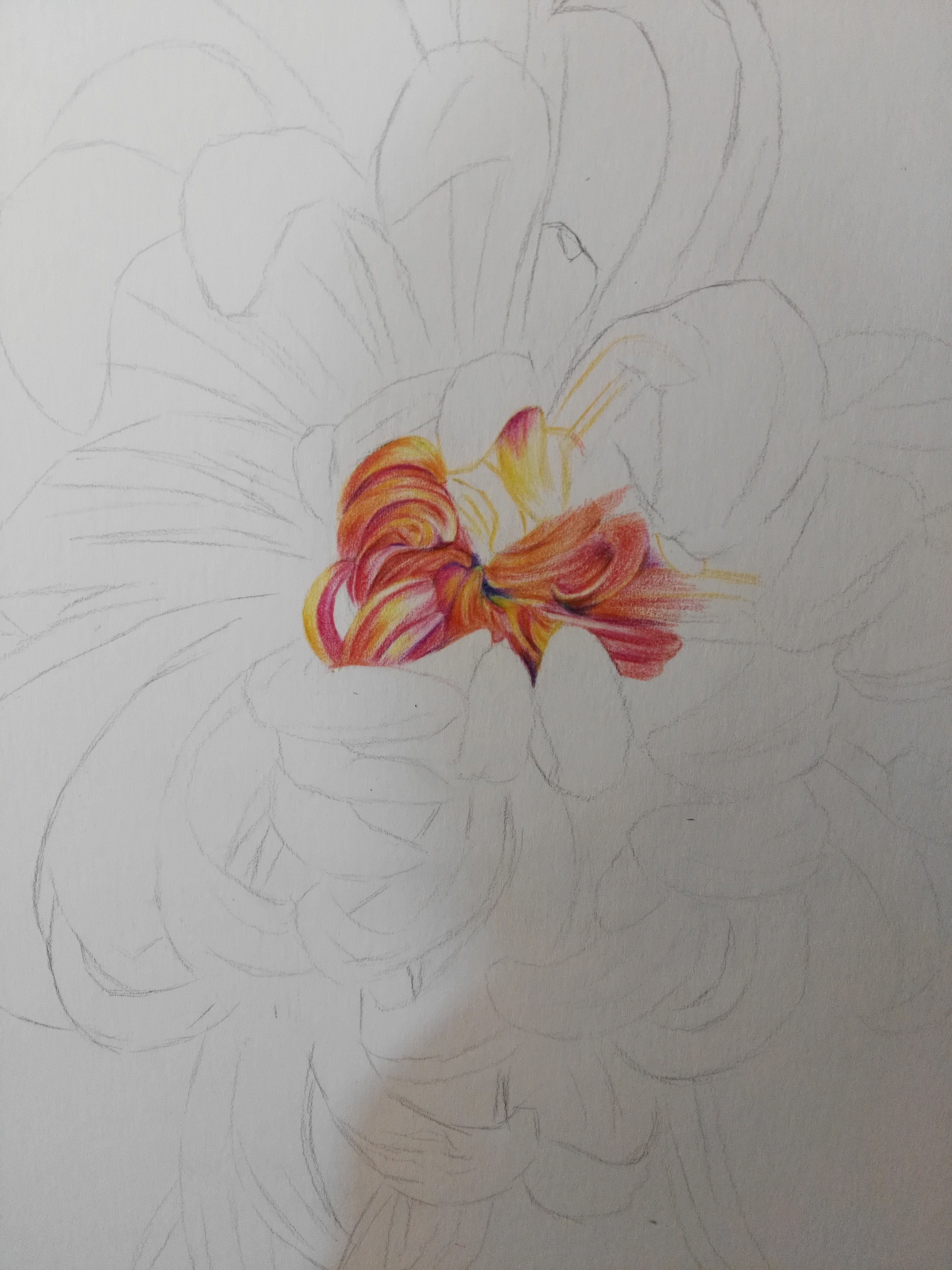 孤菊|纯艺术|绘画|浩轩手绘 - 原创作品 - 站酷 (zcool)