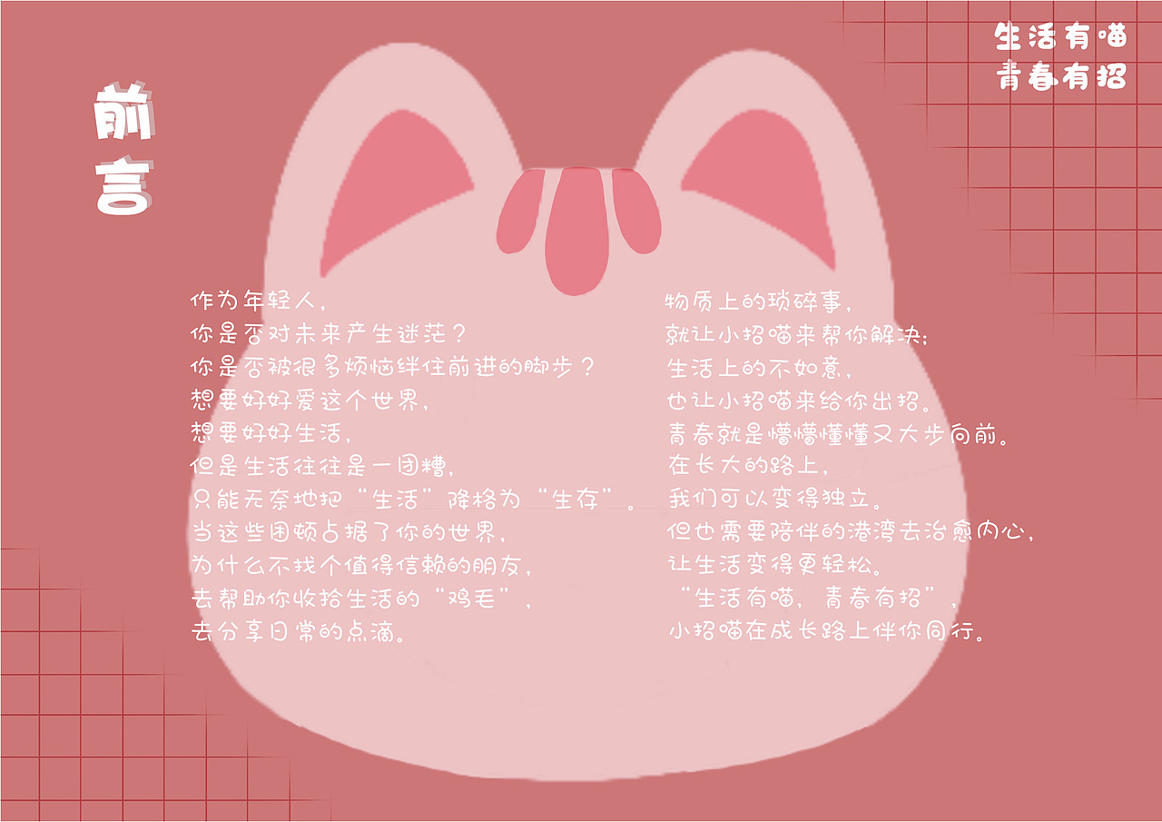 招商银行小招喵策划案 《生活有喵,青春有招》