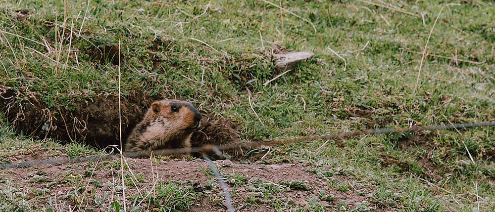 8683KM | 我们的公路计划/ 自驾纪实公路片（图ZNTUyODIzMTY=） - 风光摄影 - 站酷设计师BINL2020原创素材 - 站酷ZCOOL
