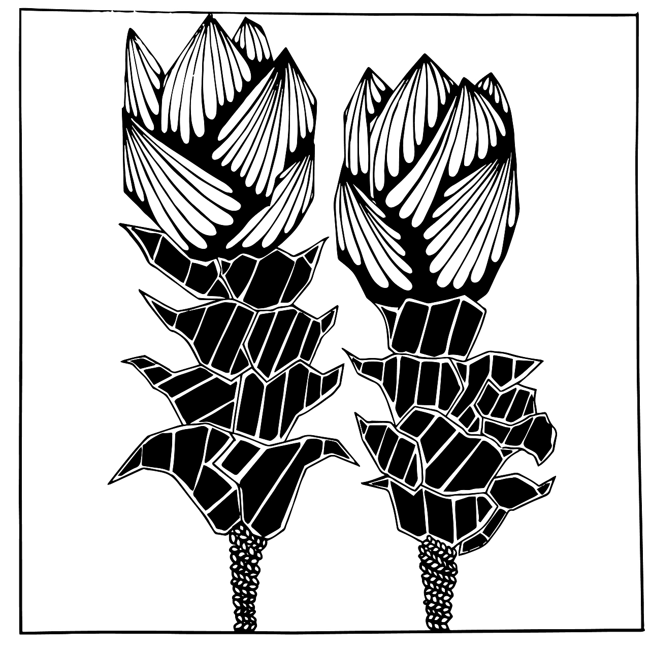 花卉变形图案设计练习