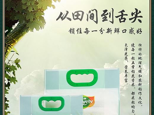 大米详情页