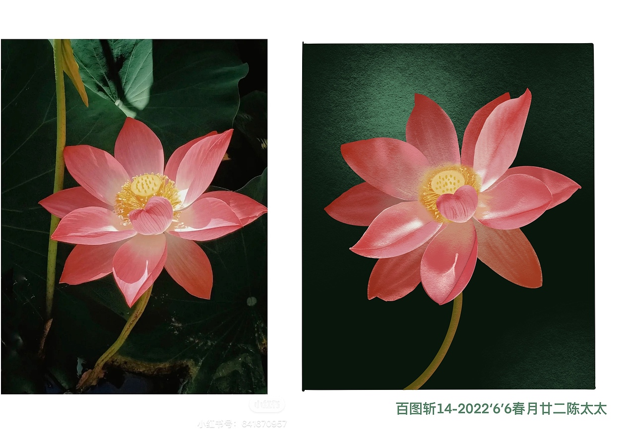 百图斩13（图ZMzAzNzI2MzI0） - 创作习作 - 站酷设计师春月廿二_陈太太原创素材 - 站酷ZCOOL