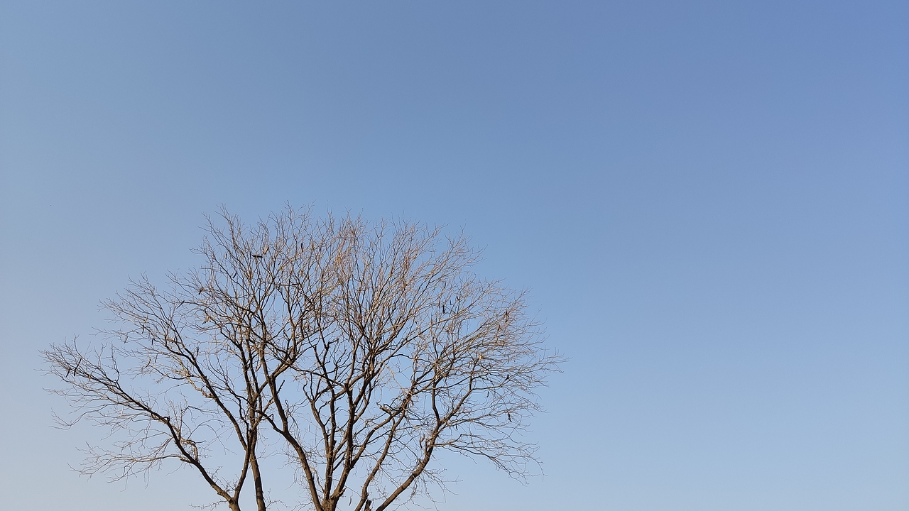 家乡韵味（图ZMTk1NjM3MzA4） - 风光摄影 - 站酷设计师庞旋原创素材 - 站酷ZCOOL