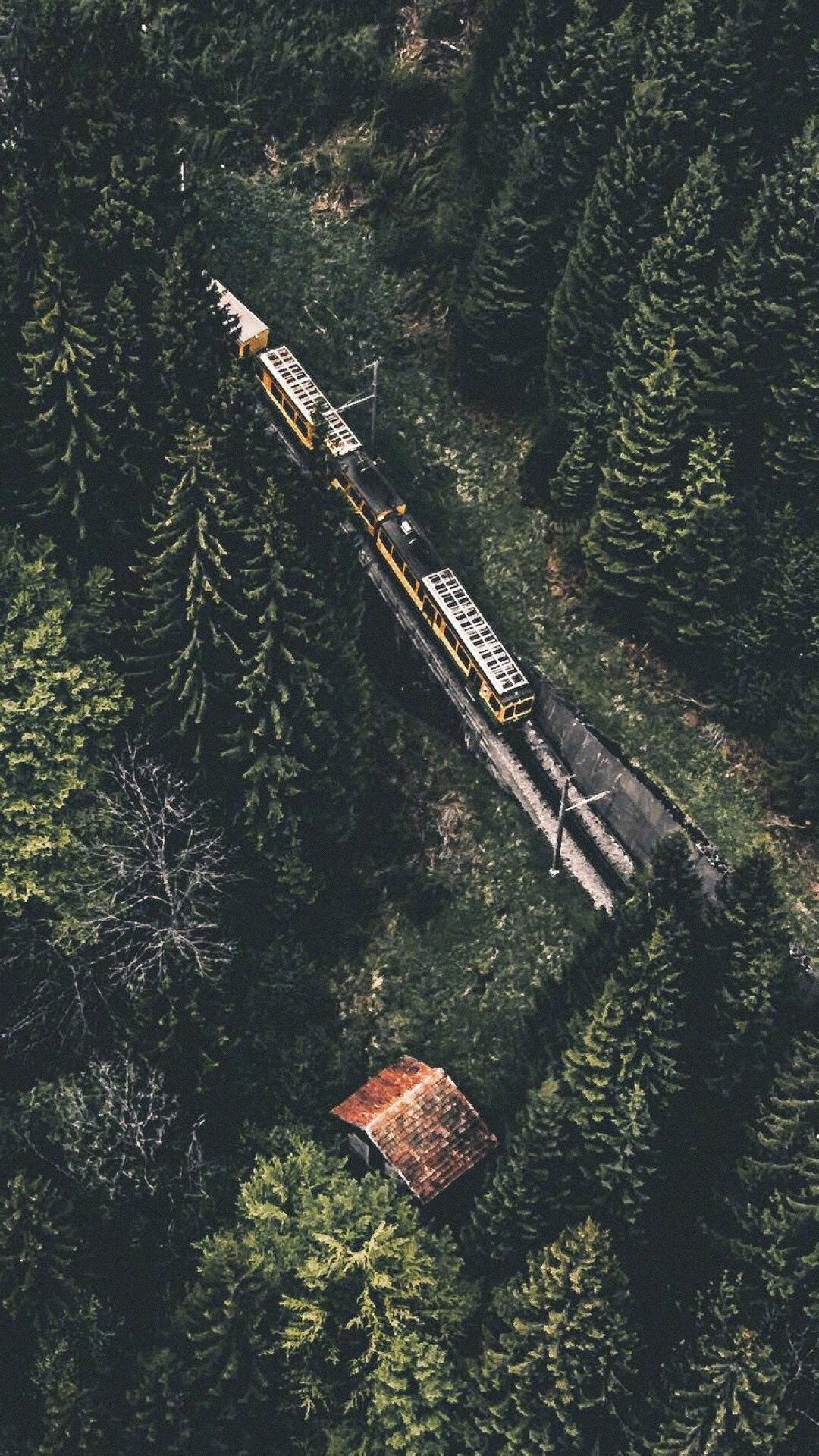 你脫發(fā)我不脫發(fā)的個人主頁（封面預覽） - 主頁封面設(shè)置 - 站酷設(shè)計師你脫發(fā)我不脫發(fā)原創(chuàng)素材 - 站酷ZCOOL