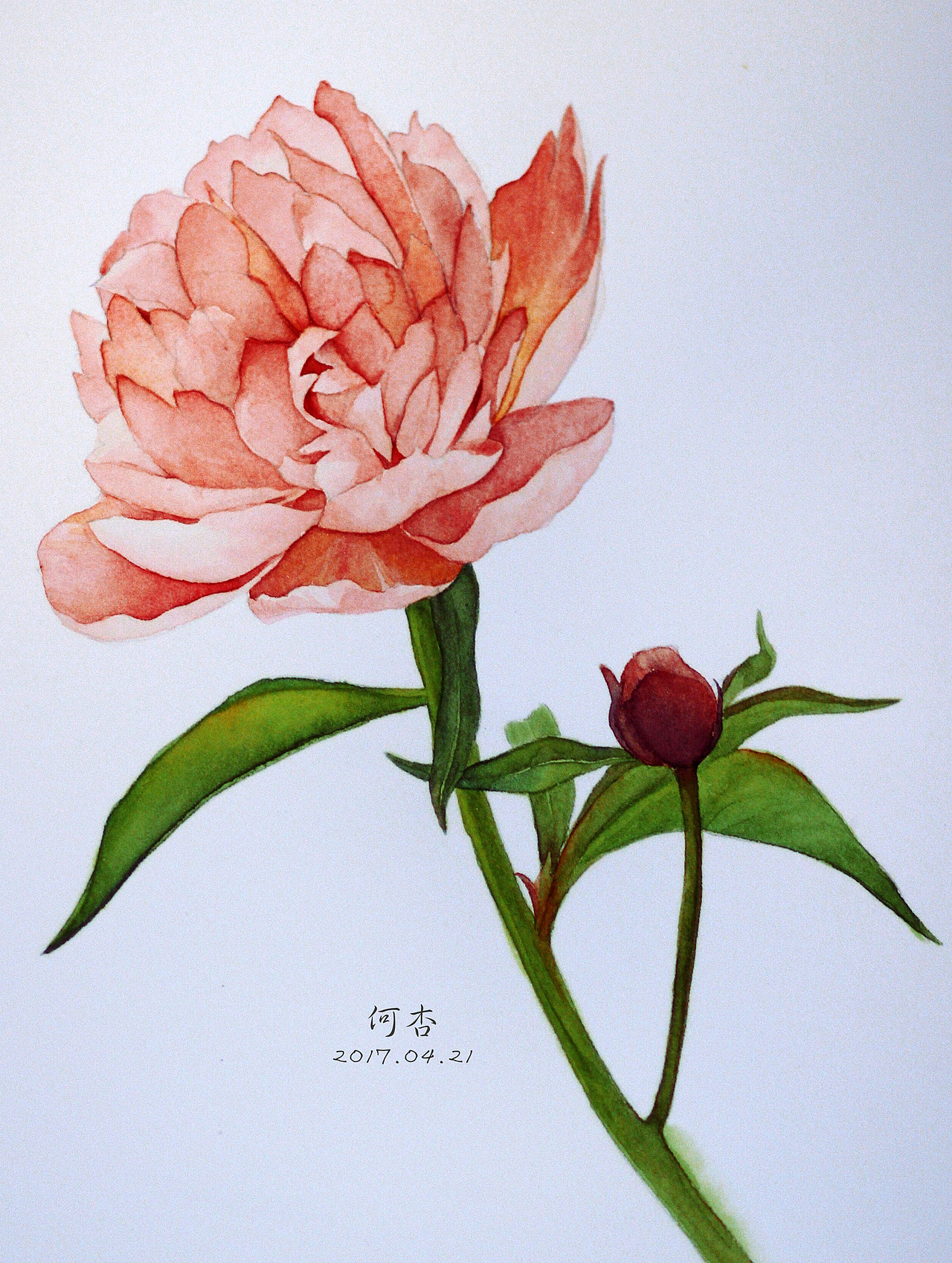 花都開(kāi)好了一（圖ZNzcyNjc5NDg=） - 藝術(shù)插畫 - 站酷設(shè)計(jì)師hexing1990原創(chuàng)素材 - 站酷ZCOOL
