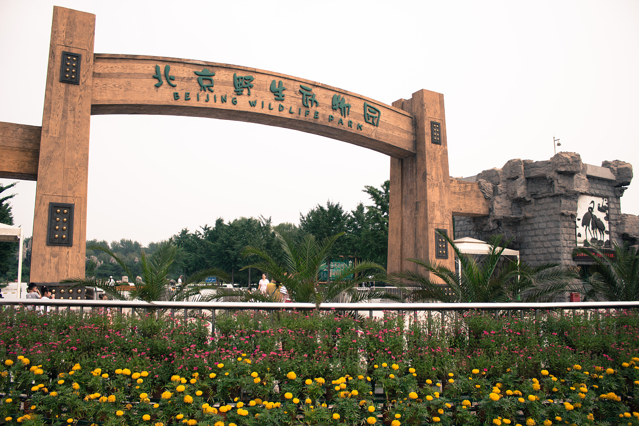北京动物园走一圈|摄影|动物|lanmin - 原创作品 - 站酷 (ZCOOL)