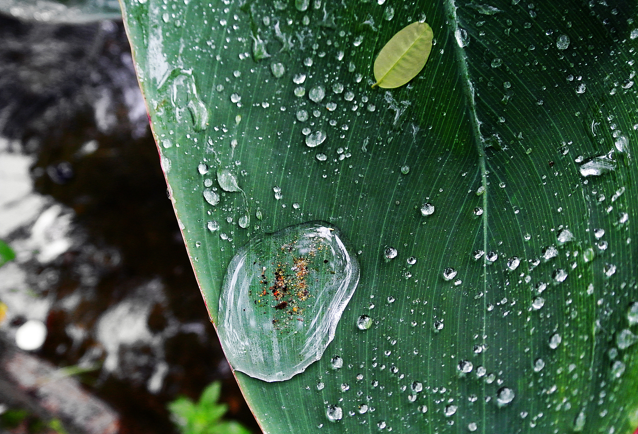 浅夏——偶阵雨