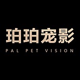 珀珀视觉的头像