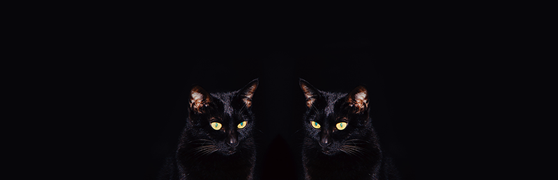 fiiiiiiiki的個人主頁（背景預覽） - 主頁背景設置 - 站酷設計師fiiiiiiiki原創(chuàng)素材 - 站酷ZCOOL